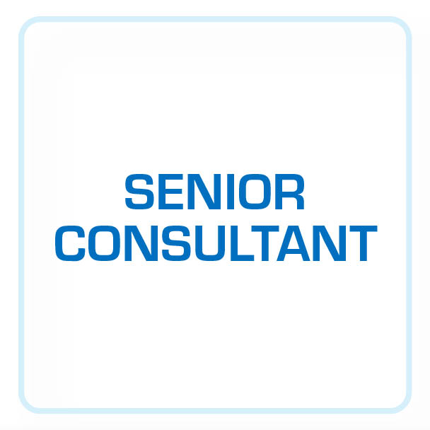 Senior Consultant in der Managementberatung für Prozess- und IT-Optimierung