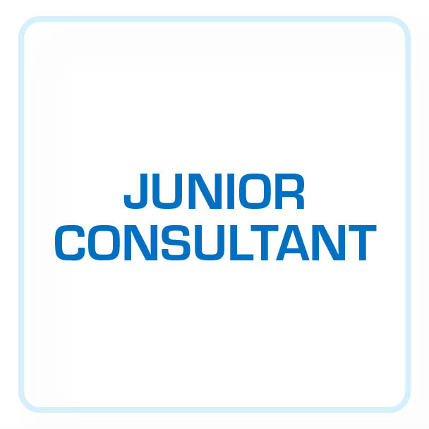 Junior Consultant in der Managementberatung für Prozess- und IT-Optimierung